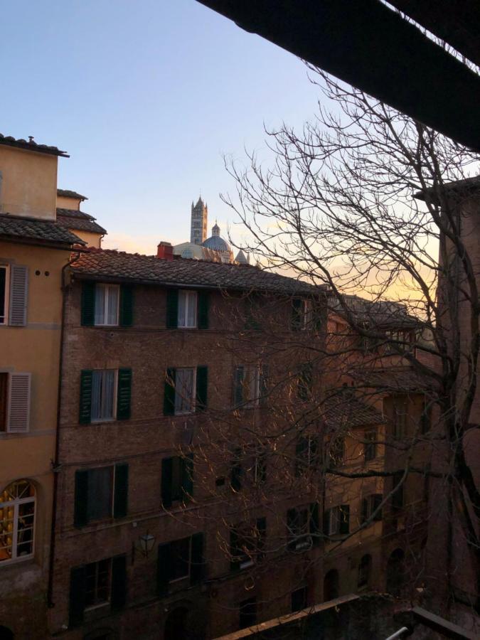 Teresa 91, Appartamento Incantevole Vista Duomo Сієна Екстер'єр фото